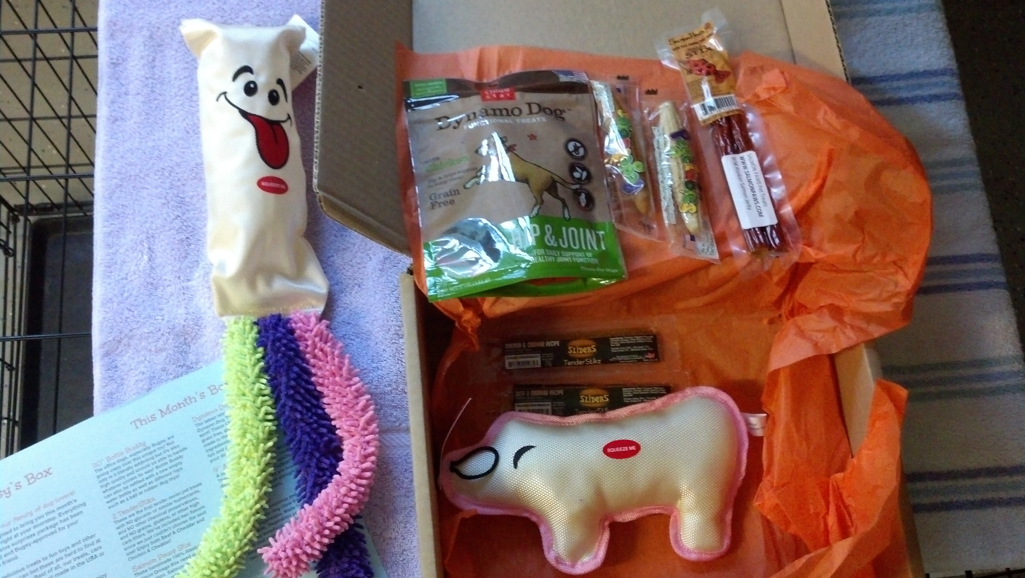 Bugsy’s Box April 2013 Box review